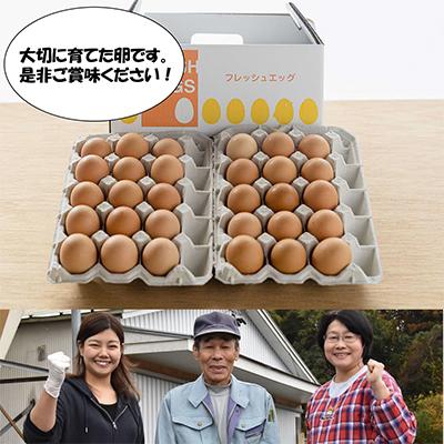 ふるさと納税 あわら市 濃厚で甘くておいしい! 福井ブランド「福地鶏」の卵 30個全12回