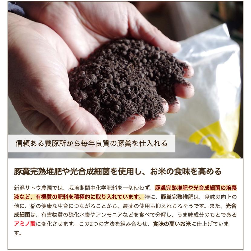 特別栽培米（減農薬・減化学肥料）新潟県産コシヒカリ（従来品種）精米5kg 新潟サトウ農園 のし無料 送料無料