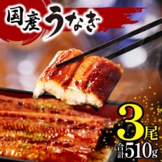 国産　うなぎ蒲焼3尾(計510g)