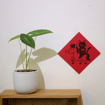 2026馬年春聯－馬上有寶 馬上有錢 黑貓 貓咪春聯 新年春聯