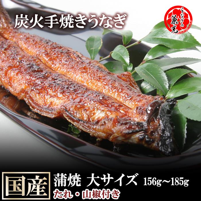 うなぎ 蒲焼き 国産 一色産 炭火 手焼き 蒲焼 大サイズ 156g〜185g タレ・山椒付き うなぎの兼光 単品売り 1尾から