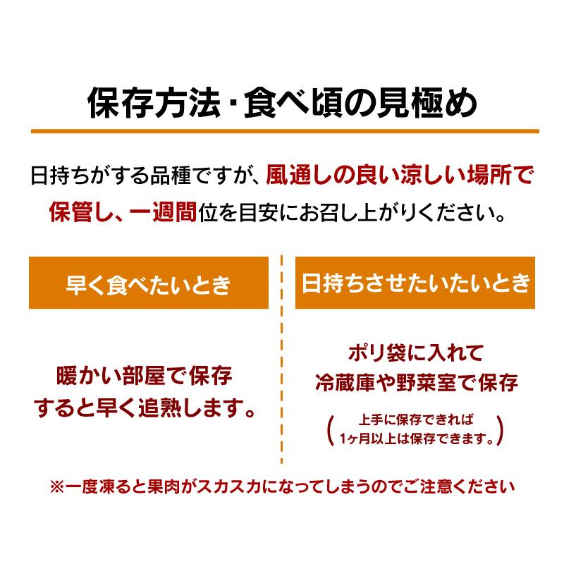 みかん はるか 3kg 送料無料 柑橘 農家直送 産地直送 日向夏 ＜2024年1月中旬より順次出荷＞ フルーツ 果物