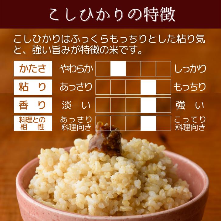 新米 5年産 玄米 米 新潟 産 コシヒカリ 玄米 10 キロ こしひかり 玄米 10kg 堆肥 育成 減農薬 農家 直送 生産者 コシヒカリ 新潟県産 玄米 美味しい