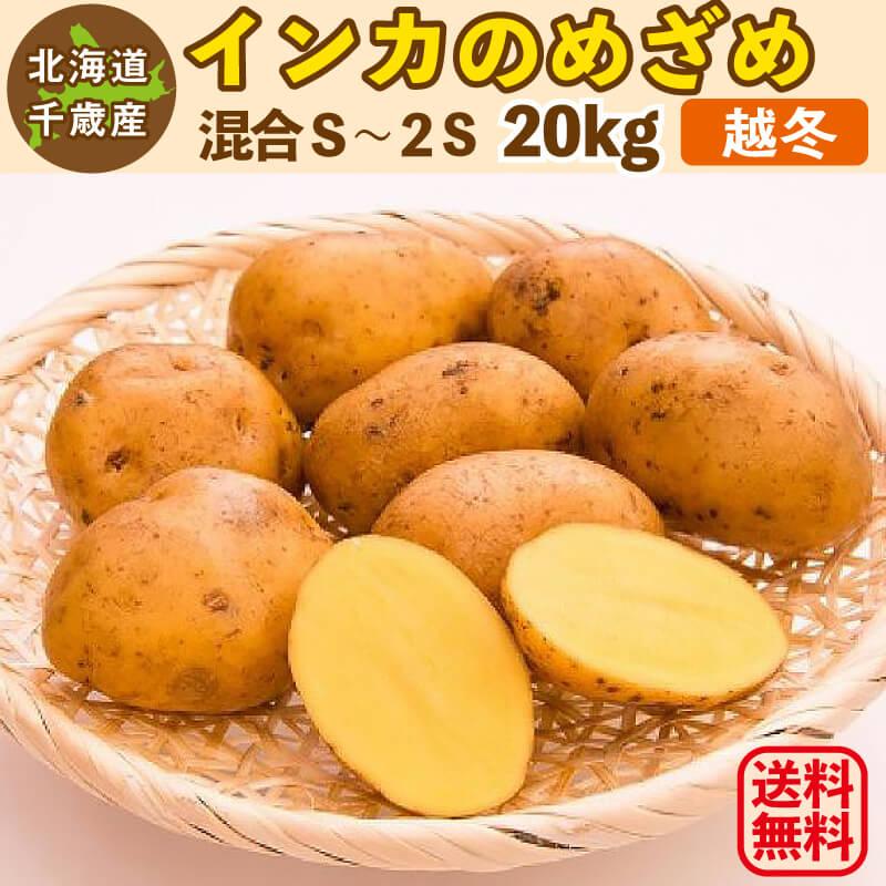 新じゃがいも20キロB品 - 野菜