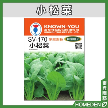 【隔日到貨】小松菜 SV-170 蔬菜特選種子 農友牌 小包裝種子 約3g/包【HOMEDEN霍登園藝】