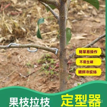 ❄️好物精選丨果樹枝拉枝器 園林工具果樹 定型器 壓枝器 傢用盆景固定通用別枝器 開角器 蘋果樹壓枝撥枝別枝器 VZLY