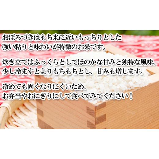 ふるさと納税 北海道 新ひだか町 ＜ 予約 定期便 全12回 ＞ 北海道産 希少米 おぼろづき 白米 計 10kg (5kg×2) ＜2024年10月より配送＞ 新米 お米 米 こめ 北…