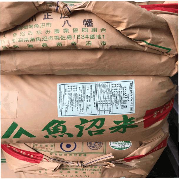 令和4年　玄米10k　送料無料　特別栽培米みなみ魚沼こしひかり