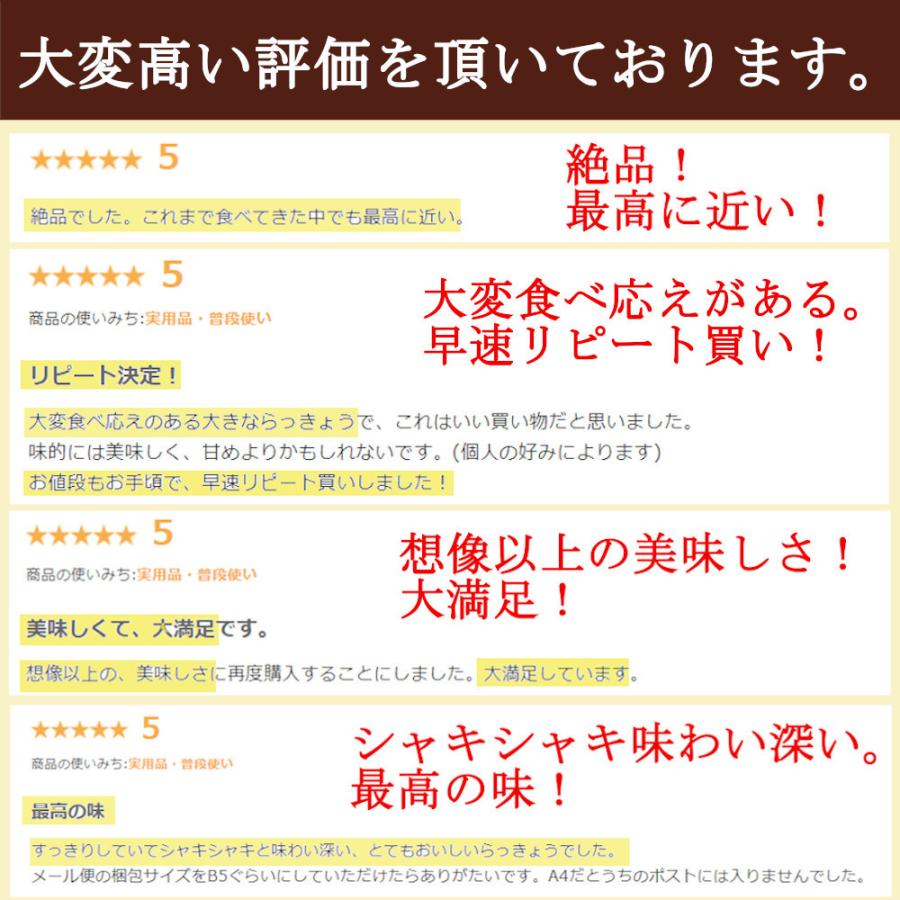 らっきょう 国産 190gx2袋 無添加 低温熟成 鳥取 ふぞろい らっきょう漬け ラッキョウ漬け 甘酢漬け 送料無料