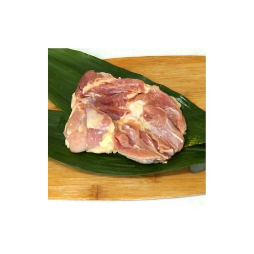 ふるさと納税 香川県 オリーブ地鶏・もも肉