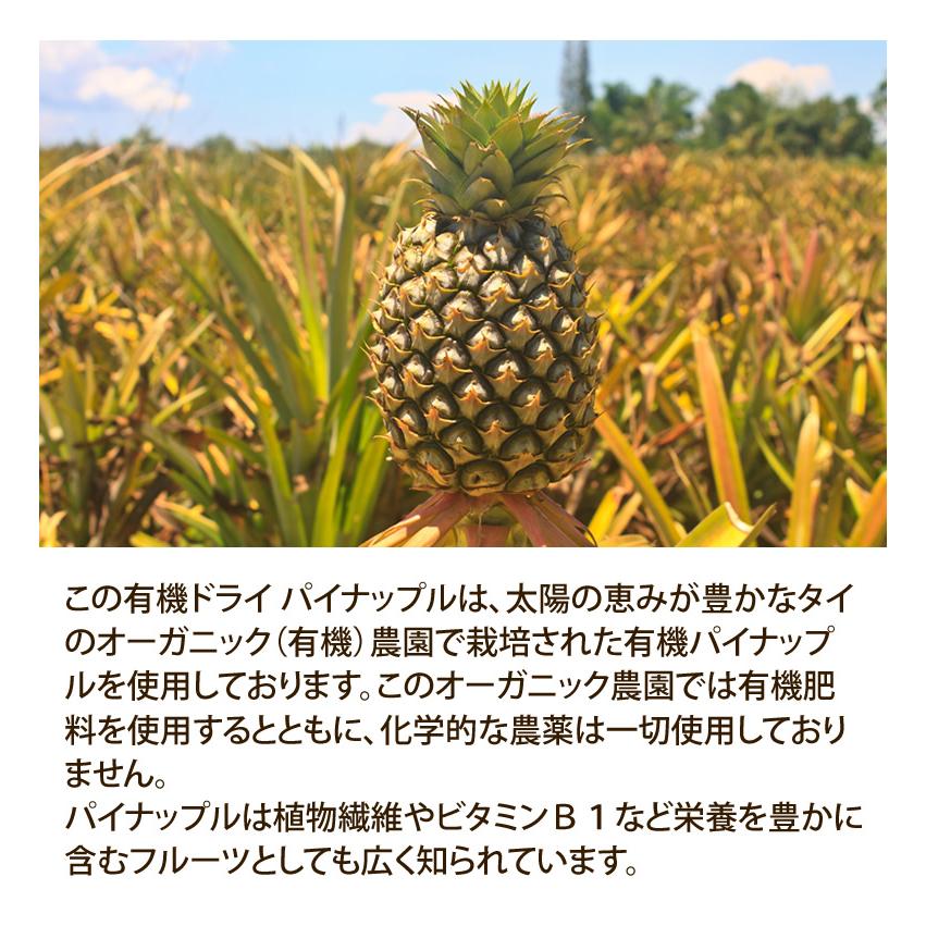 ドライパイナップル 無添加 有機JASオーガニック タイ産 65g 2袋 砂糖不使用 Dried Pineapple