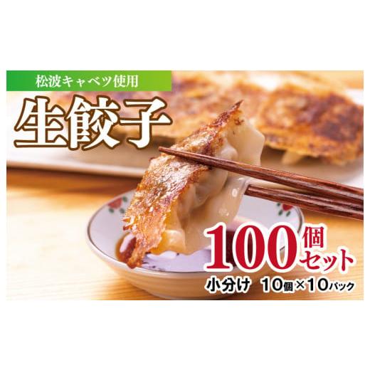 ふるさと納税 大阪府 泉佐野市 生餃子100個セット 甘いと評判の松波キャベツ使用！