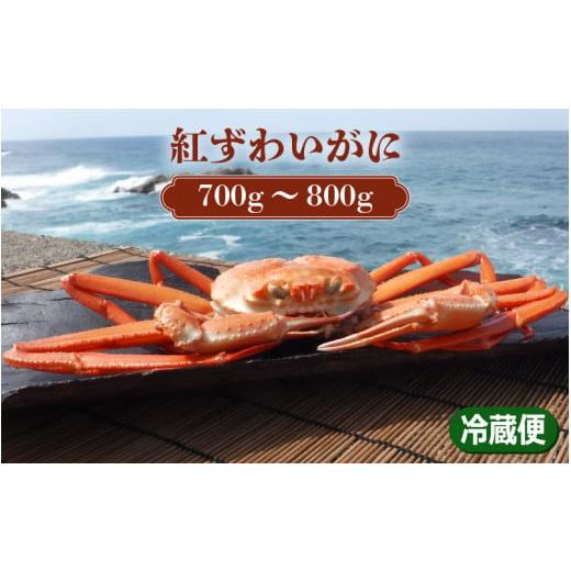 ふるさと納税 福井県 敦賀市 [076-d001] 紅ずわい蟹 × 1杯（茹で前重量：700g〜800g）【お届けできない時期：12月上旬〜…