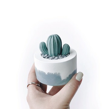 (預購) 莫蘭迪藍系列 | 仙人掌造型水泥擴香石組 辦公室懶人植栽