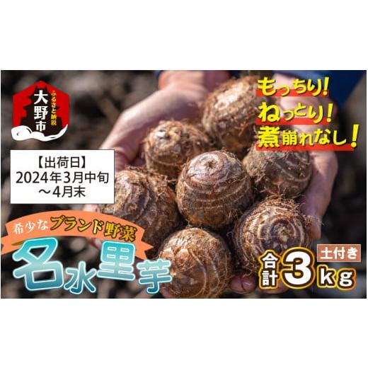 ふるさと納税 福井県 大野市 越前大野の名水里芋 3kg ねっとりうまい煮崩れしない！