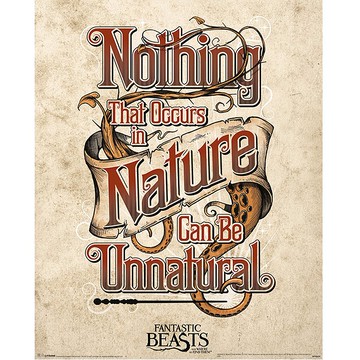【怪獸與牠們的產地】自然界發生的事情都不會是不自然的 - 海報