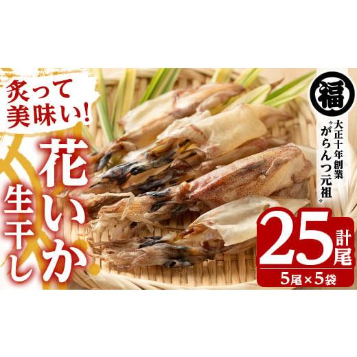 ふるさと納税 鹿児島県 阿久根市 鹿児島県阿久根市産生干し「花いか」(計25尾・5尾×5袋)国産 魚介 干物 ひもの イカ 烏賊 がらんつ干物 …