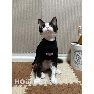HOiii PET 秋冬德絨打底衫高領衛衣德文貓衣服無毛貓加厚保暖彈力