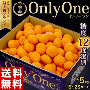 糖度12度選別 JAからつ みかん Only One 特秀品 約5kg S～2Sサイズ 佐賀県産 ※常温 オンリーワン　送料無料