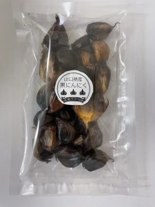 E-183 山口県産 黒にんにく100g×2パック