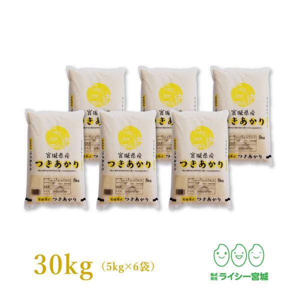 新米 米 30kg つきあかり 宮城県産 米30kg お米 白米 令和5年産 送料