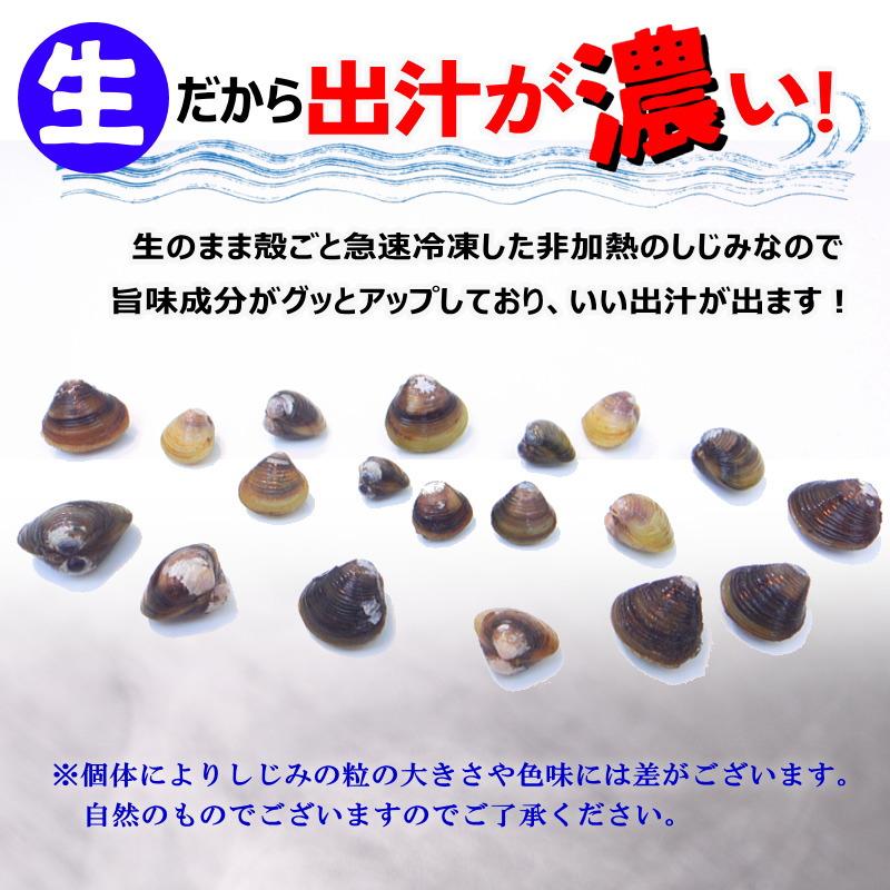 殻付きシジミ 　冷凍しじみ　蜆　1kg　バラ凍結　しじみ・殻付しじみ・