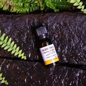 有機大西洋雪松精油 -  德國原裝進口 純植物萃取 天然擴香