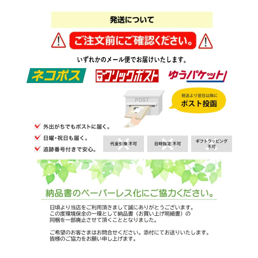 ドライフルーツ ドライ マンゴー 形不揃い 保存料 無添加 500g (100g x 5袋) セール 価格に 訳あり お菓子 ミスターマンゴー