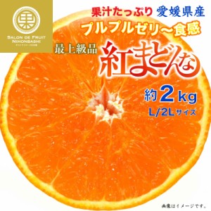 [予約 12月31日必着] 紅まどんな 約2kg L 2L 愛媛県 化粧箱 最上級品 冬ギフト お歳暮 御歳暮 大晦日必着