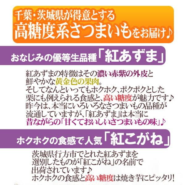 千葉・茨城産 さつまいも 訳あり 約5k [常温] 送料無料