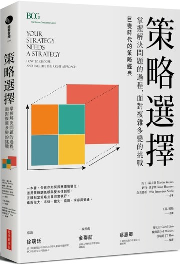 策略選擇：掌握解決問題的過程，面對複雜多變的挑戰[二手書_良好]