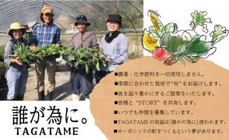  野菜 特別栽培 定期便 セット 12回 1年間 野菜 定期便 大容量 野菜 定期便 詰め合わせ 野菜 定期便  無農薬 10～15種類 3～4人 TAGATAME 野菜 定期便 タガタメ 野菜 定期便 無農薬野菜 野菜 定期便 野菜セット 野菜 定期便 旬 野菜 定期便 香川県 野菜 定期便 さぬき市 野菜 定期便  