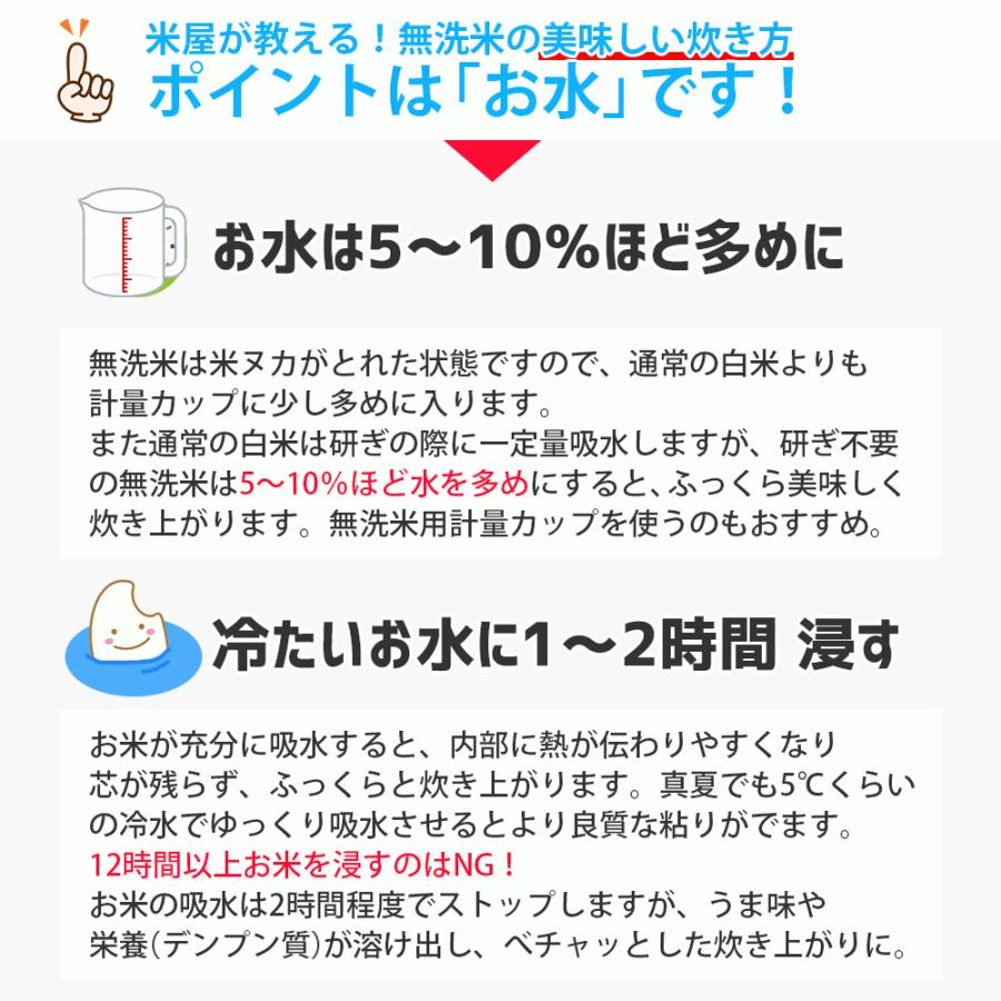 新米 無洗米 10kg (5kg×2袋) つや姫 山形県産 令和5年