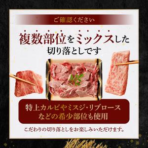 ふるさと納税 S001-026A_黒毛和牛 焼肉 カルビ ロース 切り落とし 500g A4 〜 A5 熊本県天草市