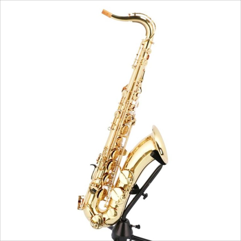 YAMAHA ヤマハ/テナーサックス/YTS-24/010533/管楽器/Bランク/05【中古 