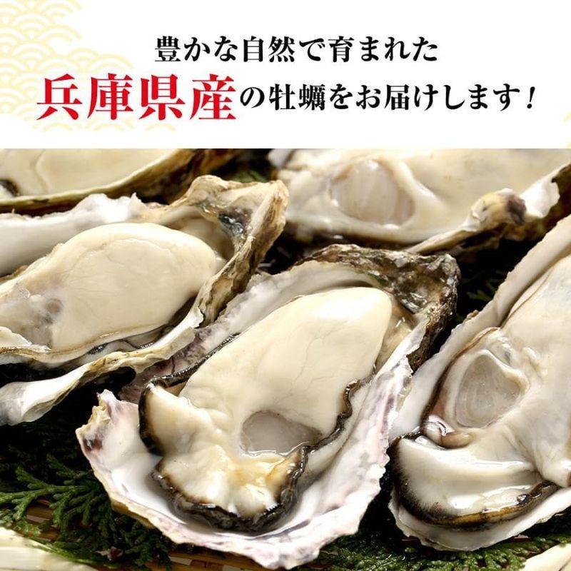 鮮度の鬼 兵庫県 室津産 カキ カンカン焼き 1.5? 約30?45個入 かき BBQ バーベキュー 牡蠣