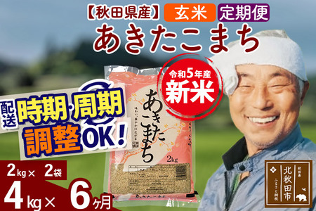 《定期便6ヶ月》＜新米＞秋田県産 あきたこまち 4kg(2kg小分け袋) 令和5年産 配送時期選べる 隔月お届けOK お米 おおもり