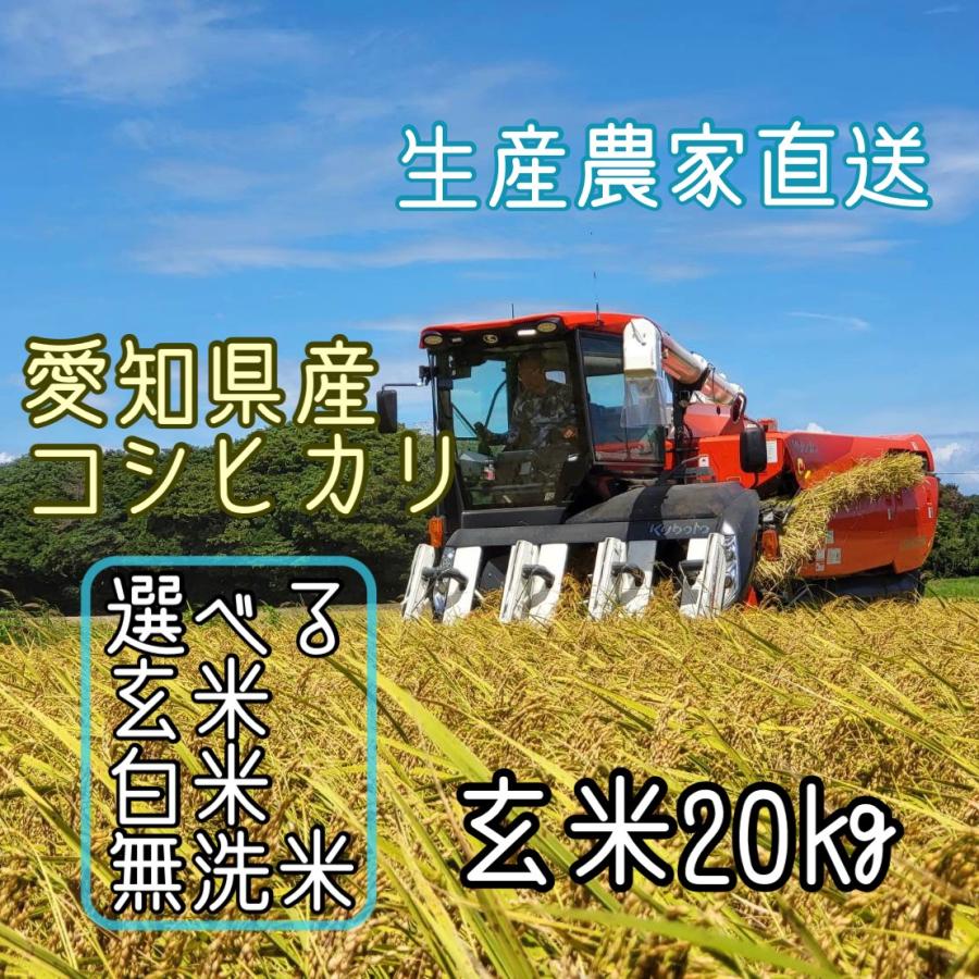 令和5年産　コシヒカリ　20kg　愛知県産　選べる　玄米　白米　無洗米　生産農家直送