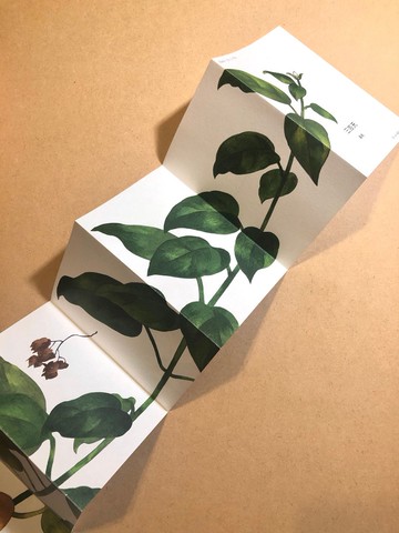 小誌ZINE | 【三百天】含A5明信片