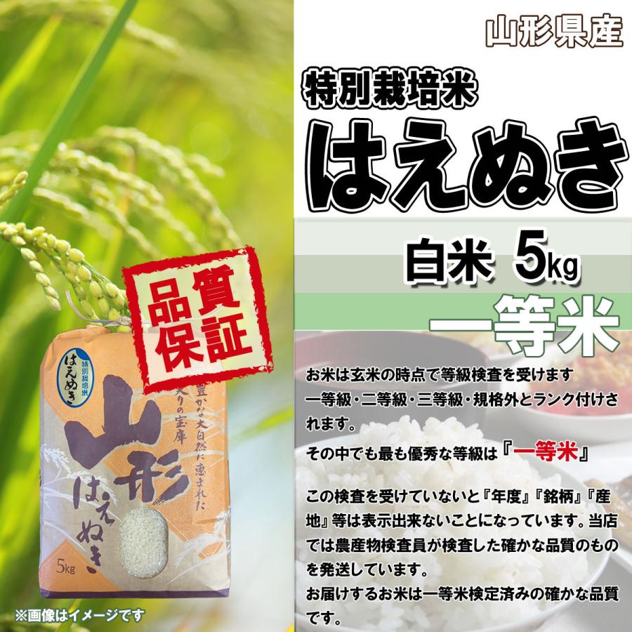 令和5年産 新米 送料無料 山形県産 特別栽培米 はえぬき 白米 5kg 五キロ お米 おこめ 白米 はくまい