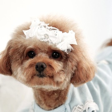 NO.126 塑料防滑夾