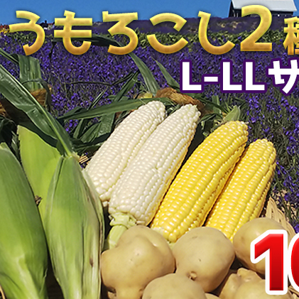 かんのファーム産 とうもろこし 食べ比べ 10本 セット(じゃがいも付) 北海道 上富良野町 とうもろこし トウモロコシ セット じゃがいも ジャガイモ 先行受付