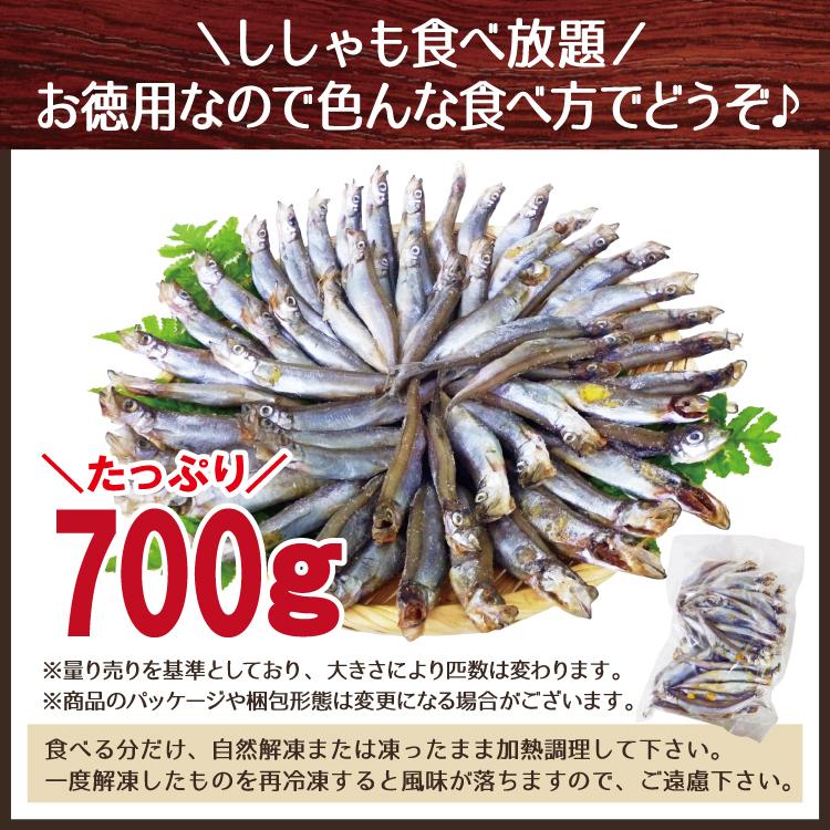 お歳暮 訳ありカラフトシシャモ700g