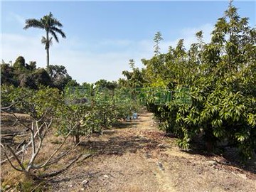 (專)近阿公店大埔段農地｜高雄市燕巢區​