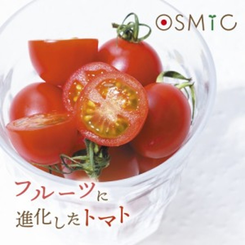 野菜　mini　PREMIUM　化粧箱入　500g　高糖度トマト　高糖度フルーツトマト　OSMICトマト　笠岡市　LINEショッピング