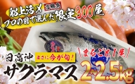 ＜2024年5月から順次発送＞ 北海道産 サクラマス 2～2.5kg まるごと 1尾 ＜ 予約商品 ＞