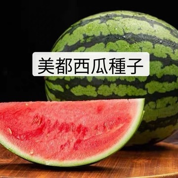 🍉【美都西瓜種子】🍉超甜大果  正宗美都西瓜種子 瓤紅耐裂超甜皮薄 美都西瓜種子四季農家庭院陽台盆栽種子