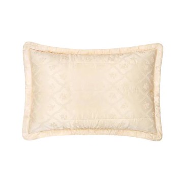 【卓瑩】奈米遠紅外線-香檳金厚枕套-買一送一