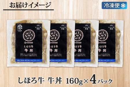 北海道 しほろ牛 牛丼の具 160g×4パック セット 牛丼 牛肉 国産牛 玉ねぎ ゴボウ 丼 冷凍 時短 簡単 便利 おかず 温めるだけ 道の駅 ピア21しほろ 送料無料 十勝 士幌町 