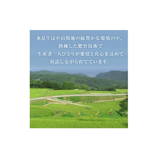 ふるさと納税 富山県 氷見市 極上の黒毛和牛 氷見牛すき焼き用肉 500g 氷見市 国産牛 もも肉 赤身